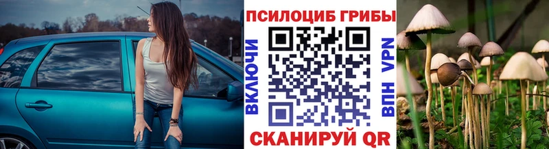 Галлюциногенные грибы MAGIC MUSHROOMS  дарнет шоп  МЕГА вход  Камызяк 