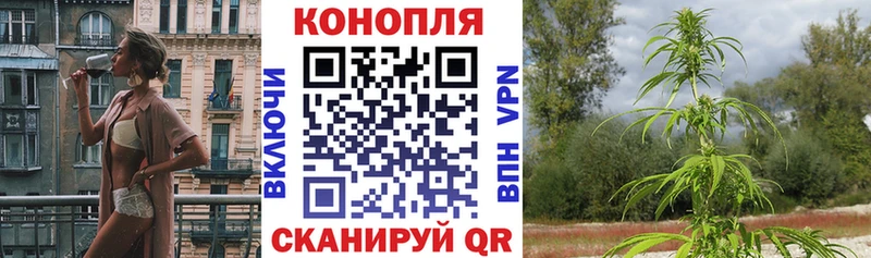 МАРИХУАНА ГИДРОПОН Камызяк